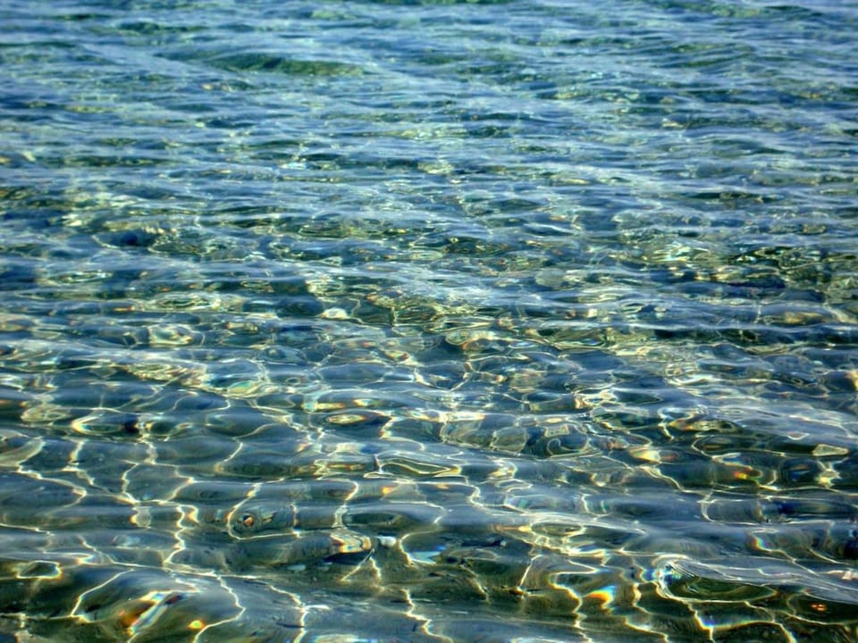 Reina's house by the sea Villa in Halkidiki