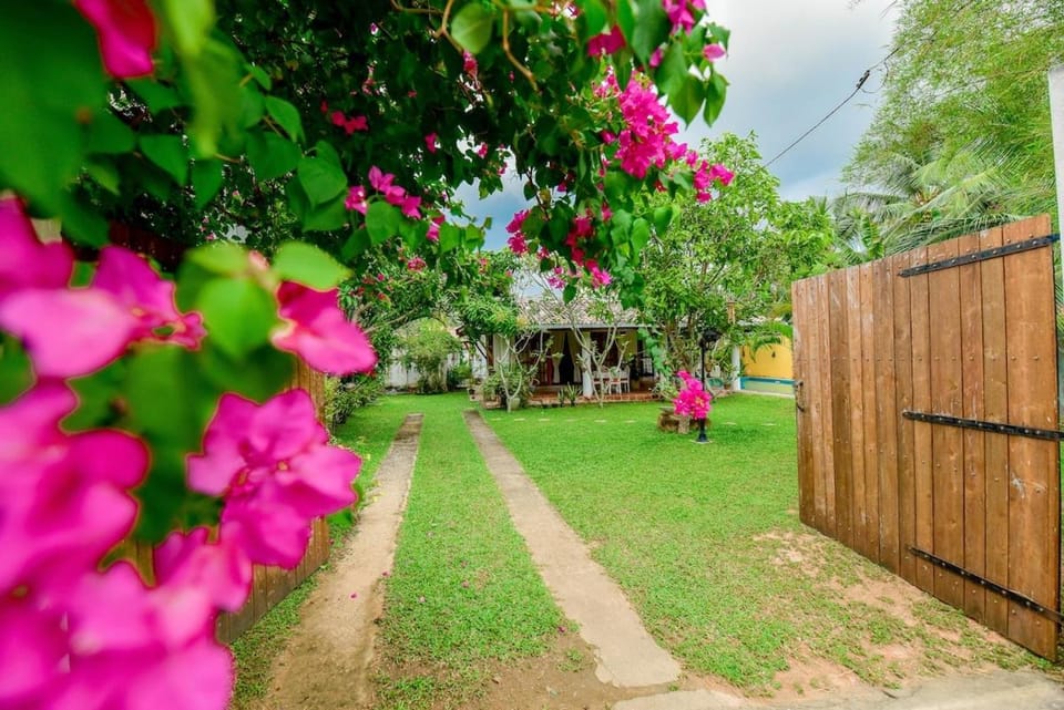 Facade/entrance, Garden, Garden view