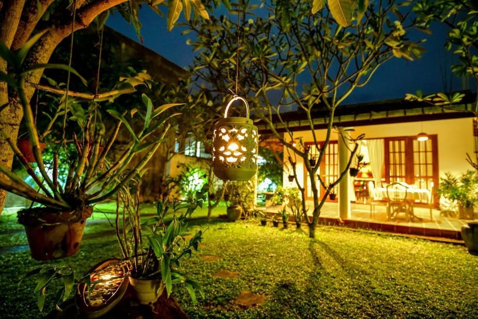 Night, Garden, Garden view