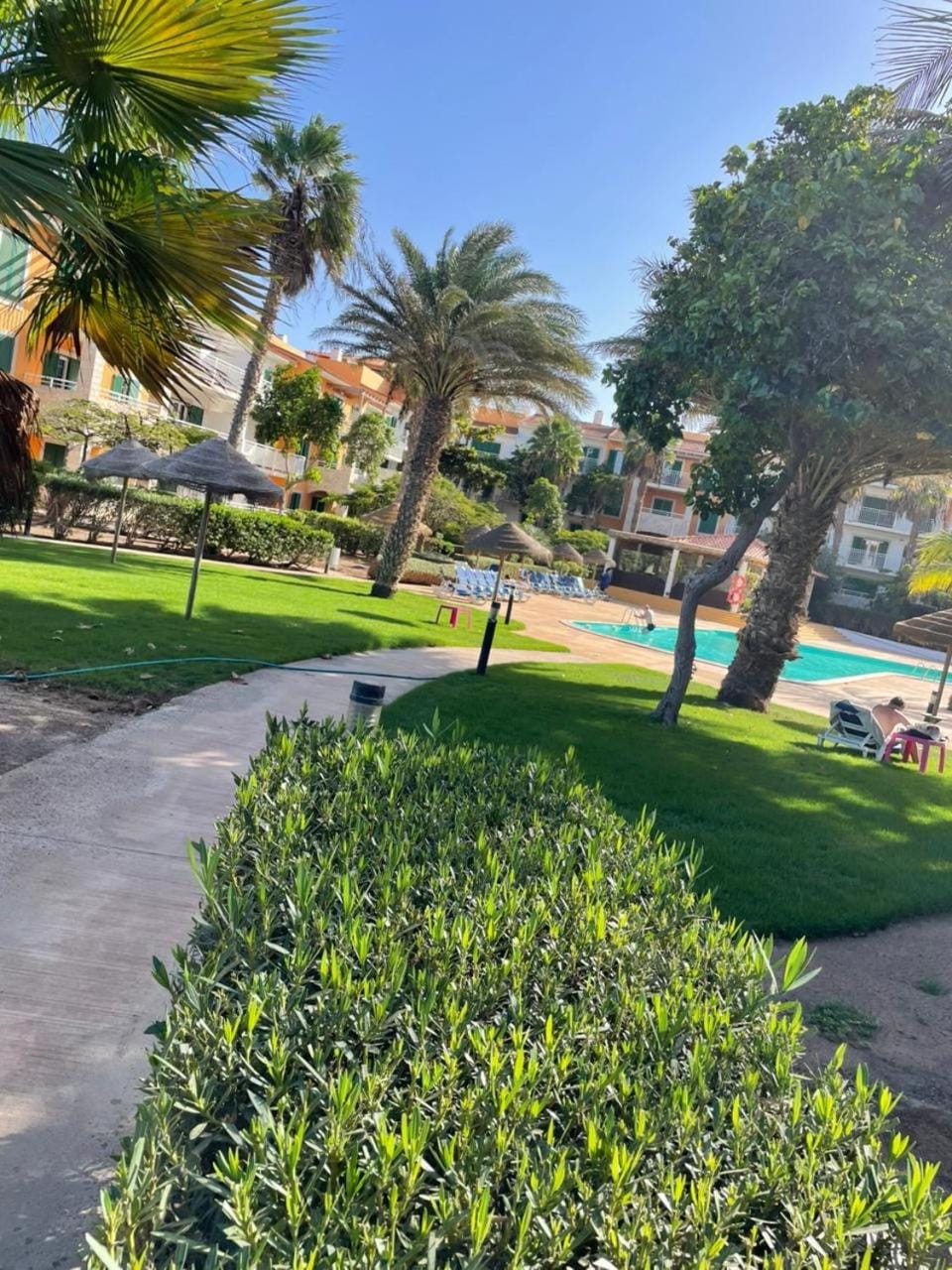 condomínio vila verde Pepper, Cactus T0,T1,T2 Apartment in Santa Maria