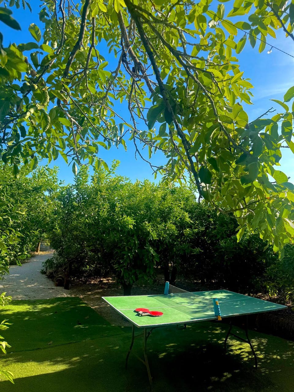 Glamping de Huerta La Arboleja Luxury tent in Region of Murcia