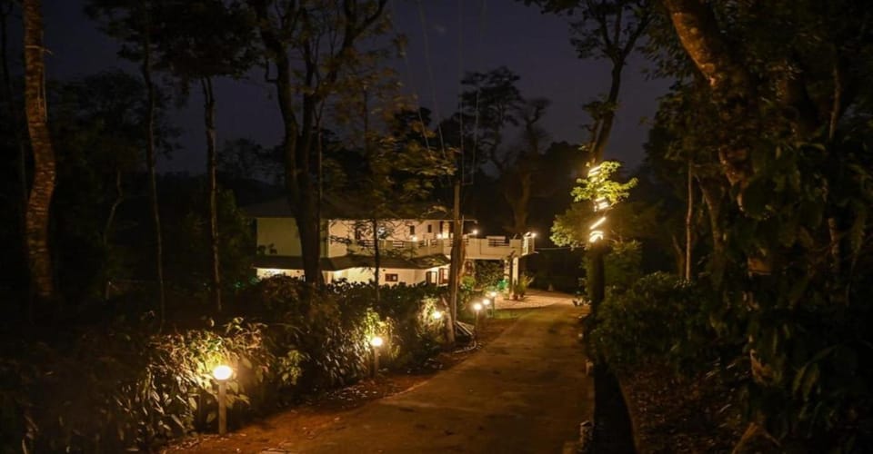 Night, Natural landscape, Garden, Garden view