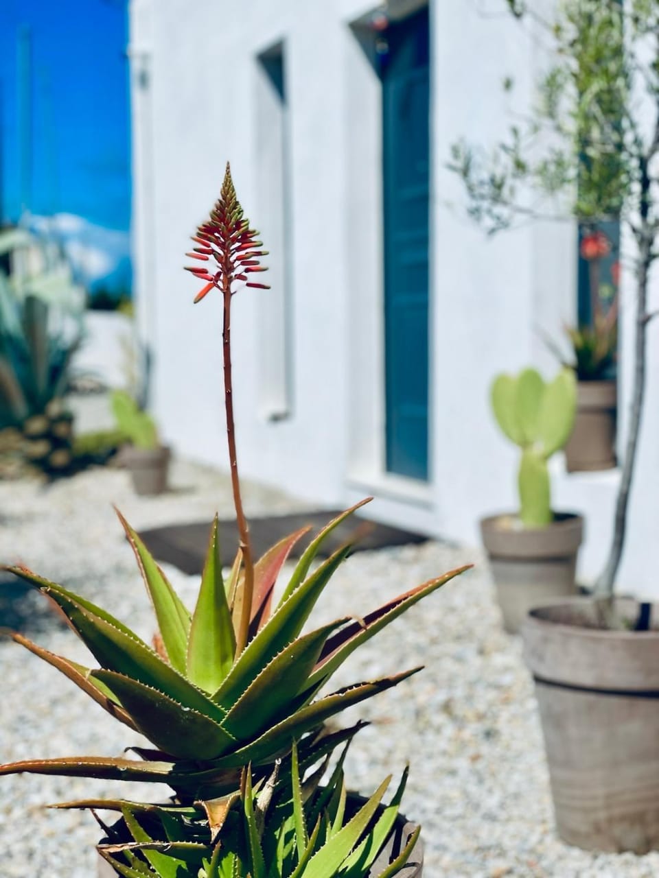 Soulbreeze Bungalows Kos, Haus 2 Apartment in Kos, Greece