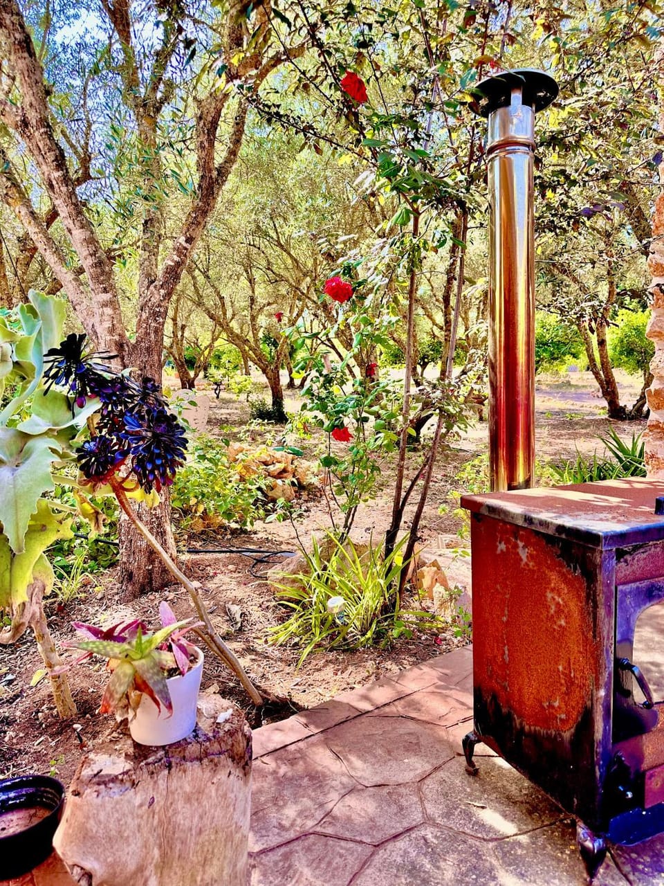 Casita Catalan Sa Coveta House in Pla de Mallorca