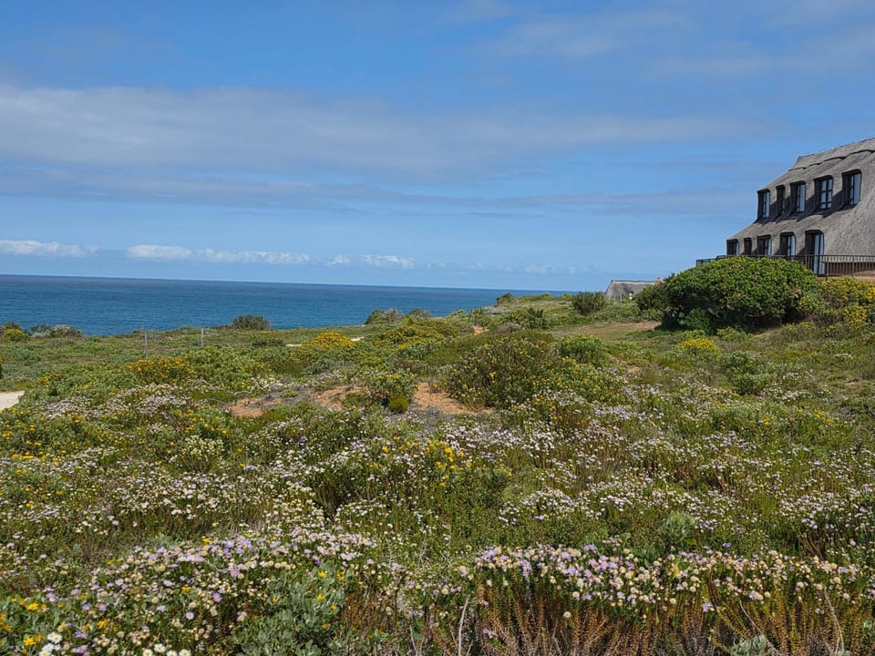 Pervinca al Mare Apartment in Western Cape