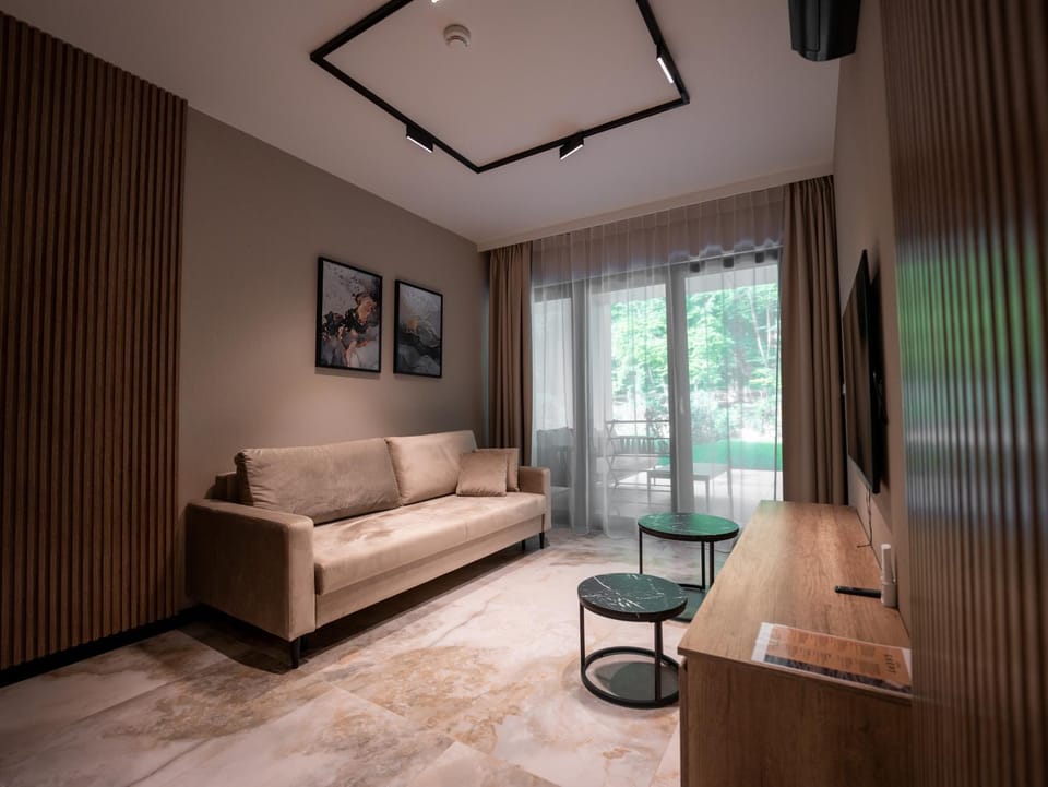 TV and multimedia, Living room, Photo of the whole room, Seating area