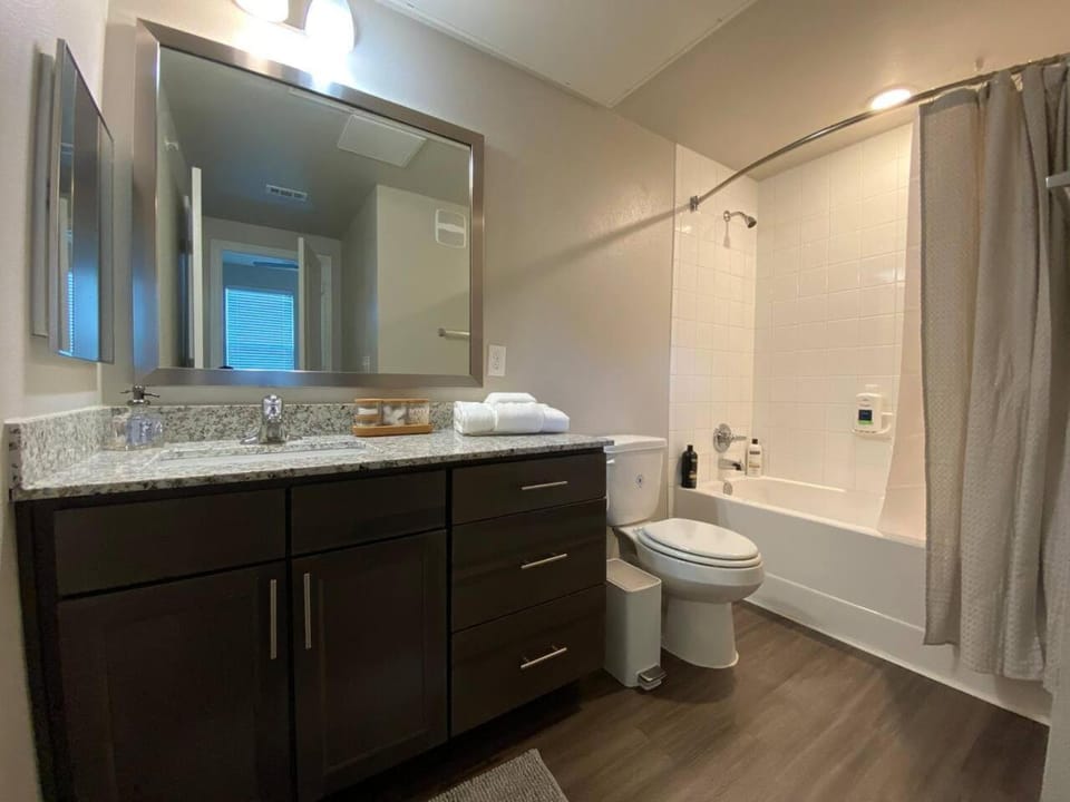 Spring Cheerful Modern 2 king Long-term Apartment in Houston