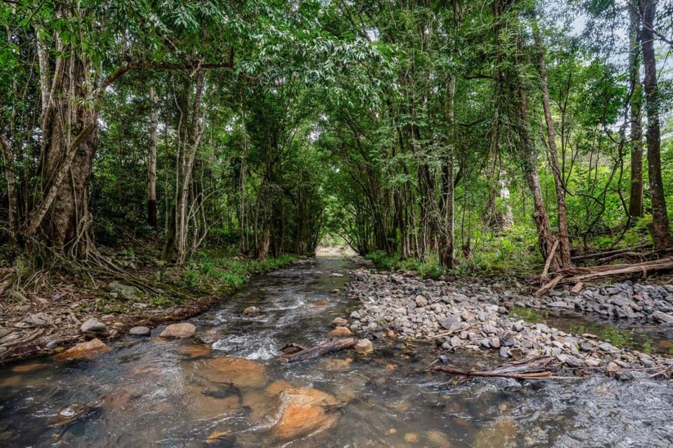 Natural landscape