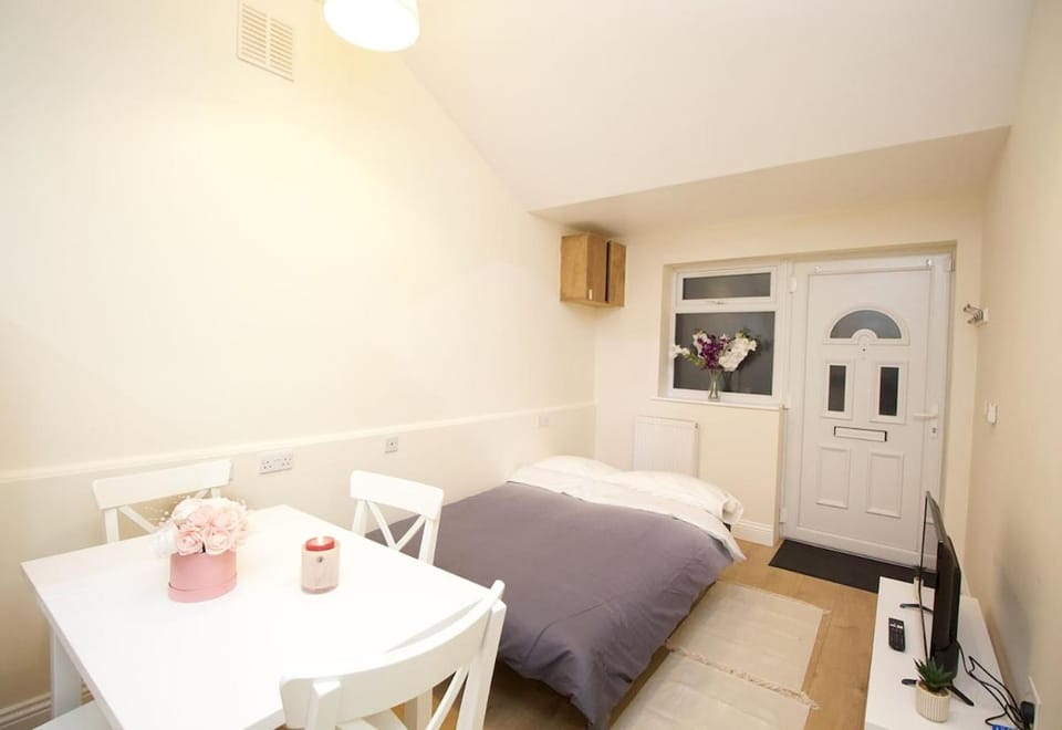 Lovely 1-Bedroom Flat in London near Blackhorse Rd Apartment in London