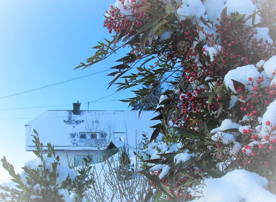 Property building, Winter