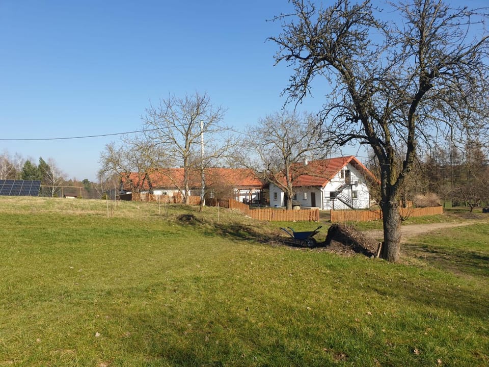 Property building, Natural landscape, Garden view