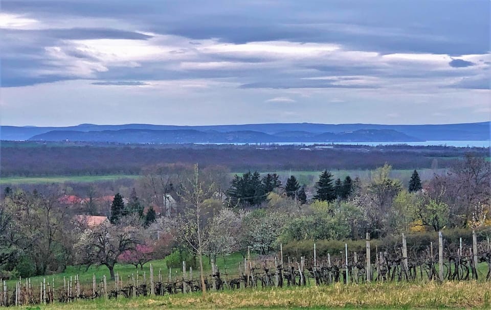 View (from property/room), Lake view
