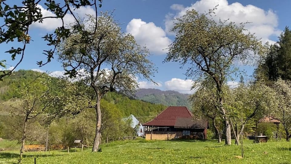 Property building, Spring, Mountain view