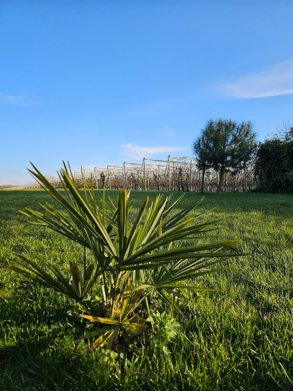 Natural landscape