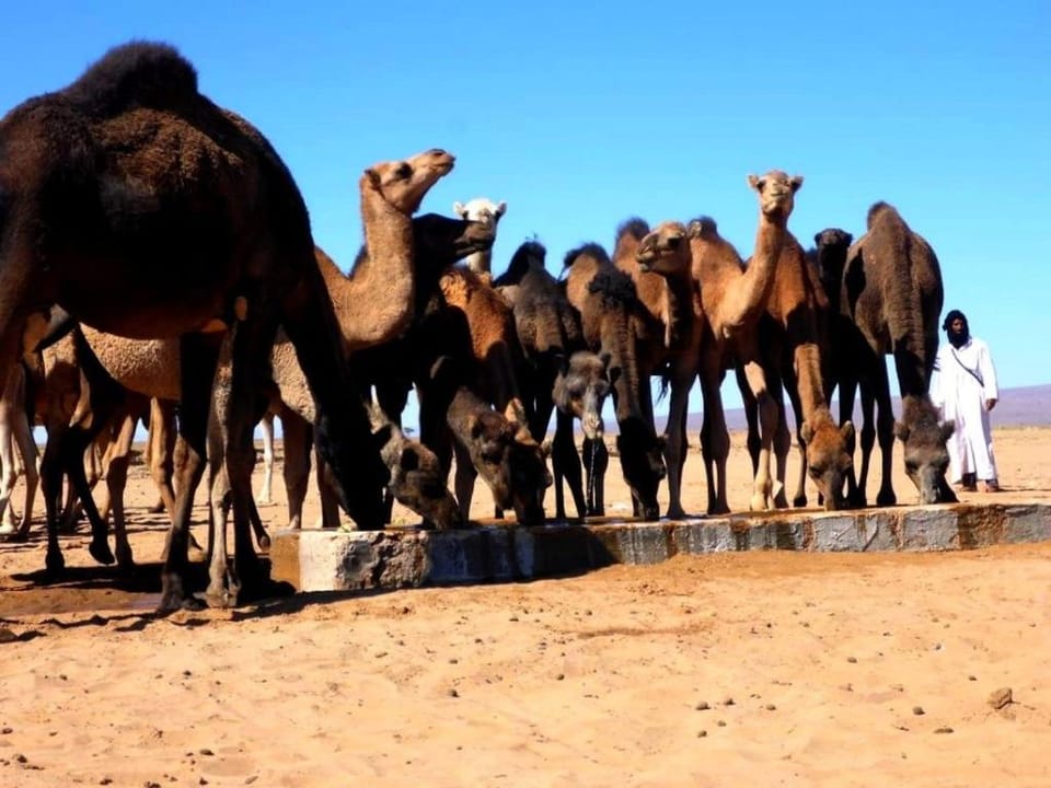 Iriki Dreams Hotel in Morocco