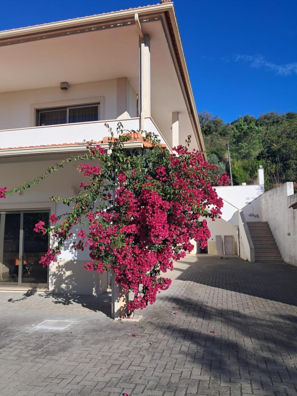 Property building, Garden view