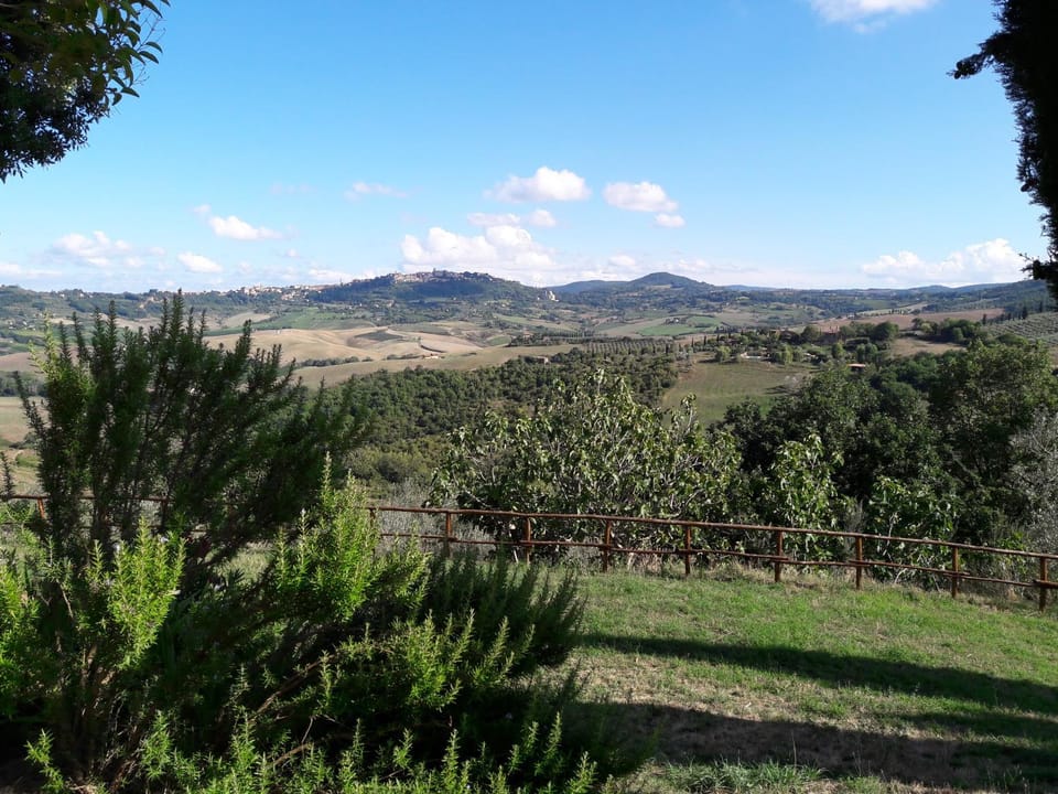 Garden, Garden view