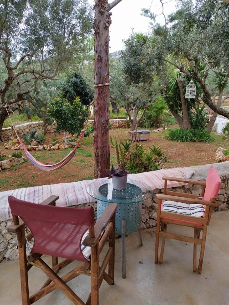 Patio, Garden view