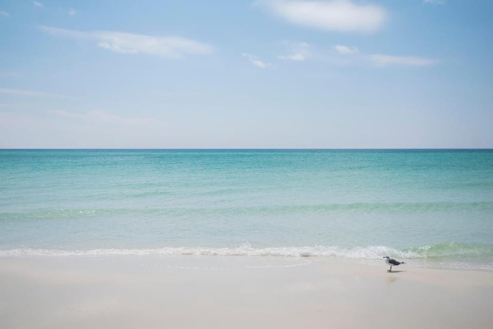 Dune I Townhomes #01 House in South Walton County