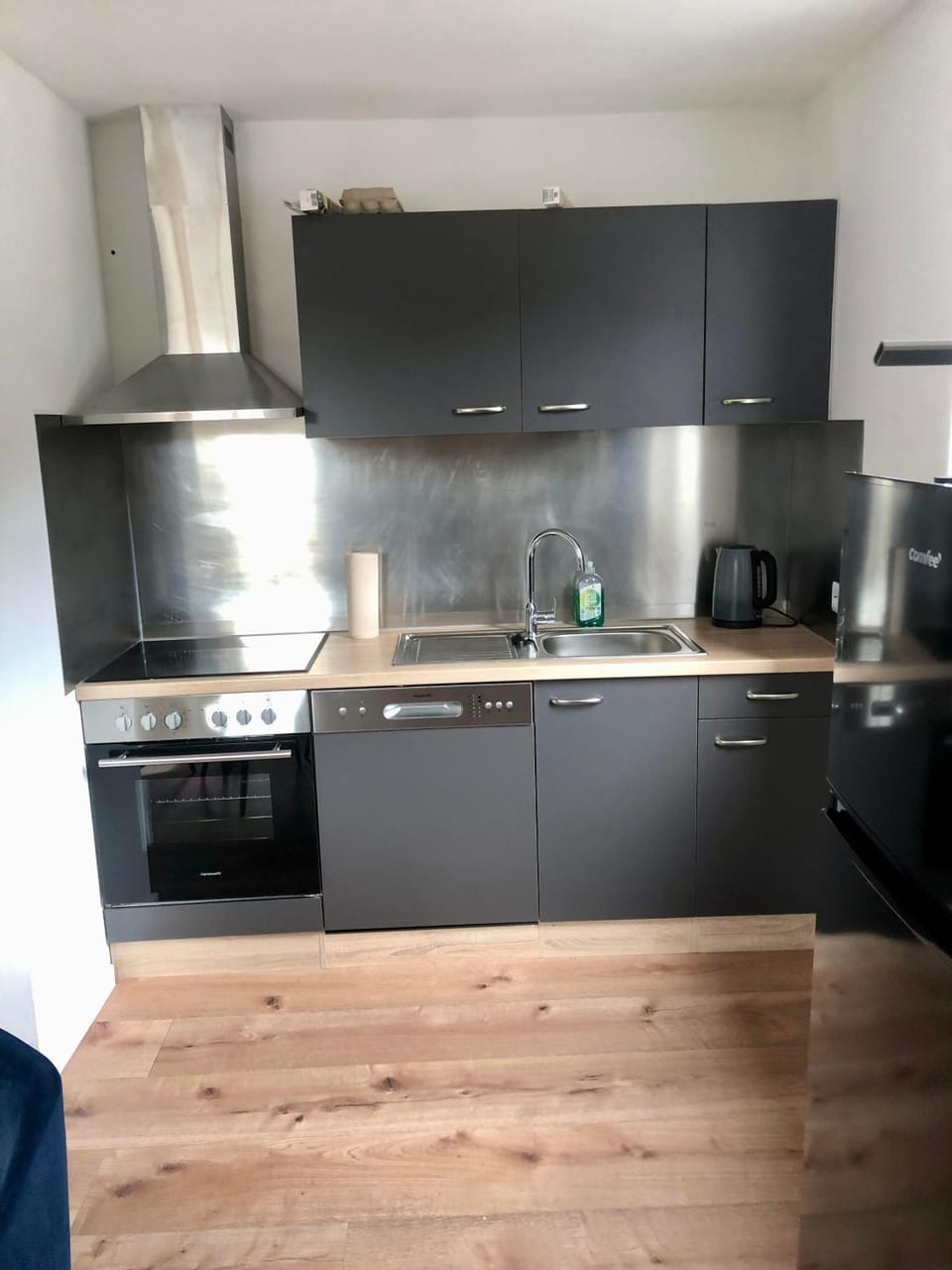 Kitchen or kitchenette, dishwasher, oven, stove