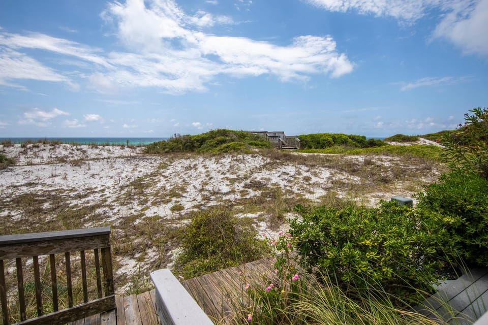 Sea Haunts 2A - Turtle Dunes! House in South Walton County