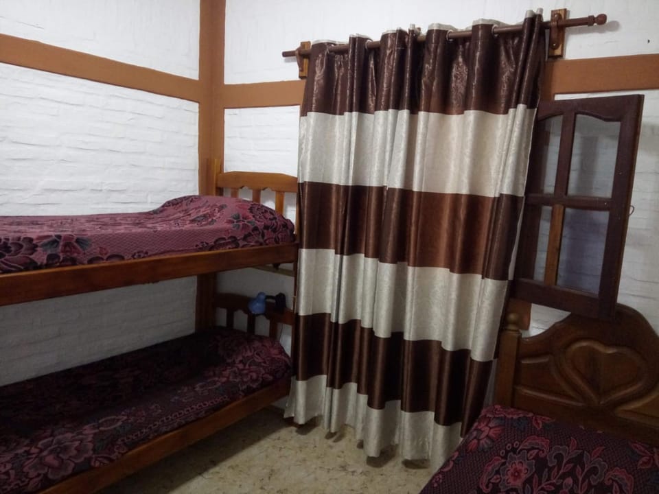 Bed, Photo of the whole room, Bedroom, bunk bed