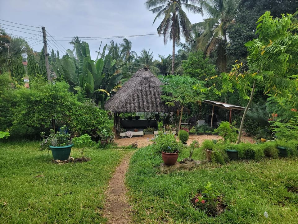 Garden view