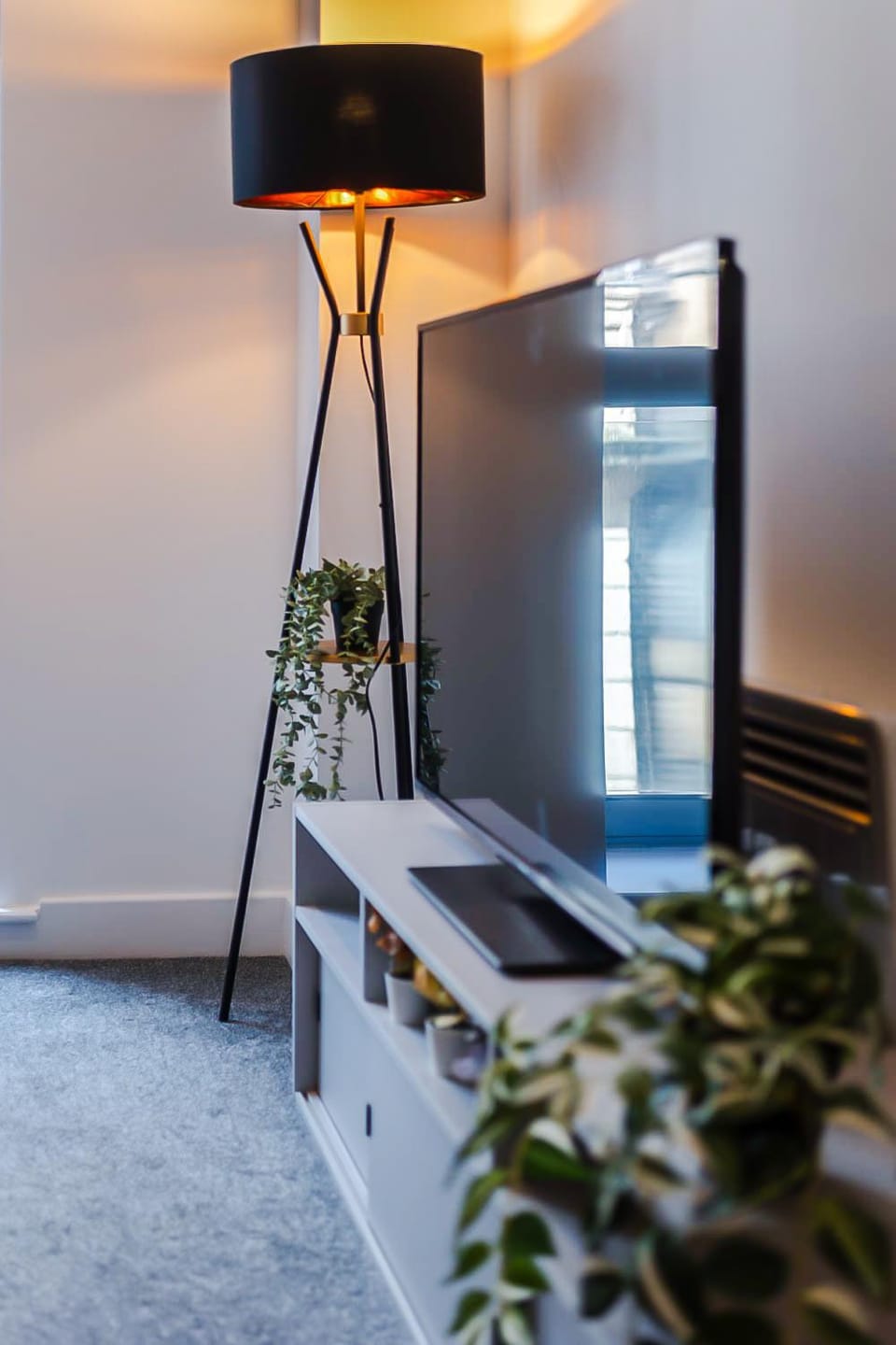 Communal lounge/ TV room, Communal kitchen