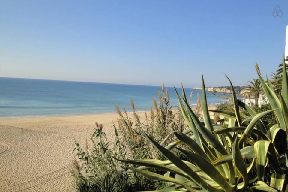 Casa dos Peixes e Mar Apartment in Faro District
