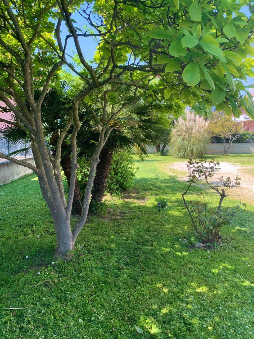 A casa di Giulia Apartment in Civitanova Marche