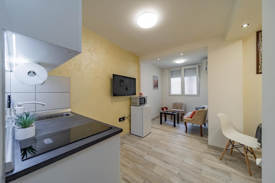 Kapetan apartman Apartment in Belgrade