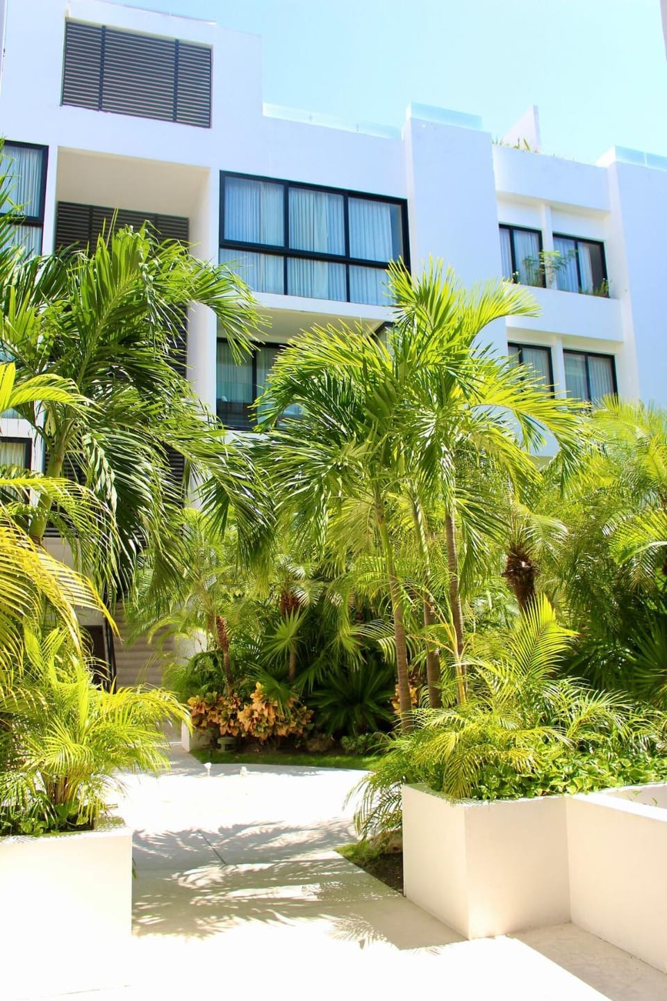 Penthouse terrace excellet WiFi Downtown Apartment in Playa del Carmen