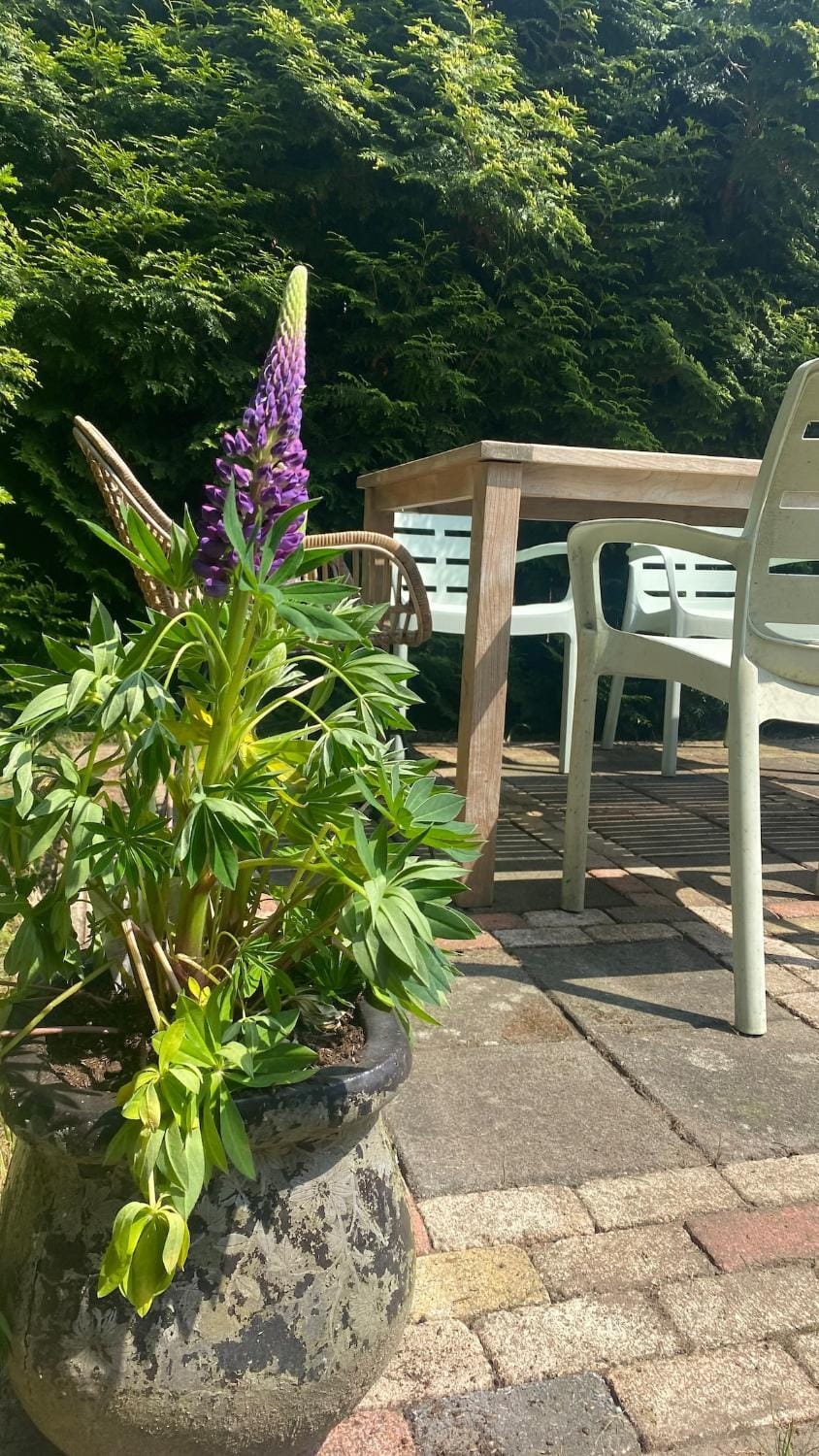 Garden, Garden view