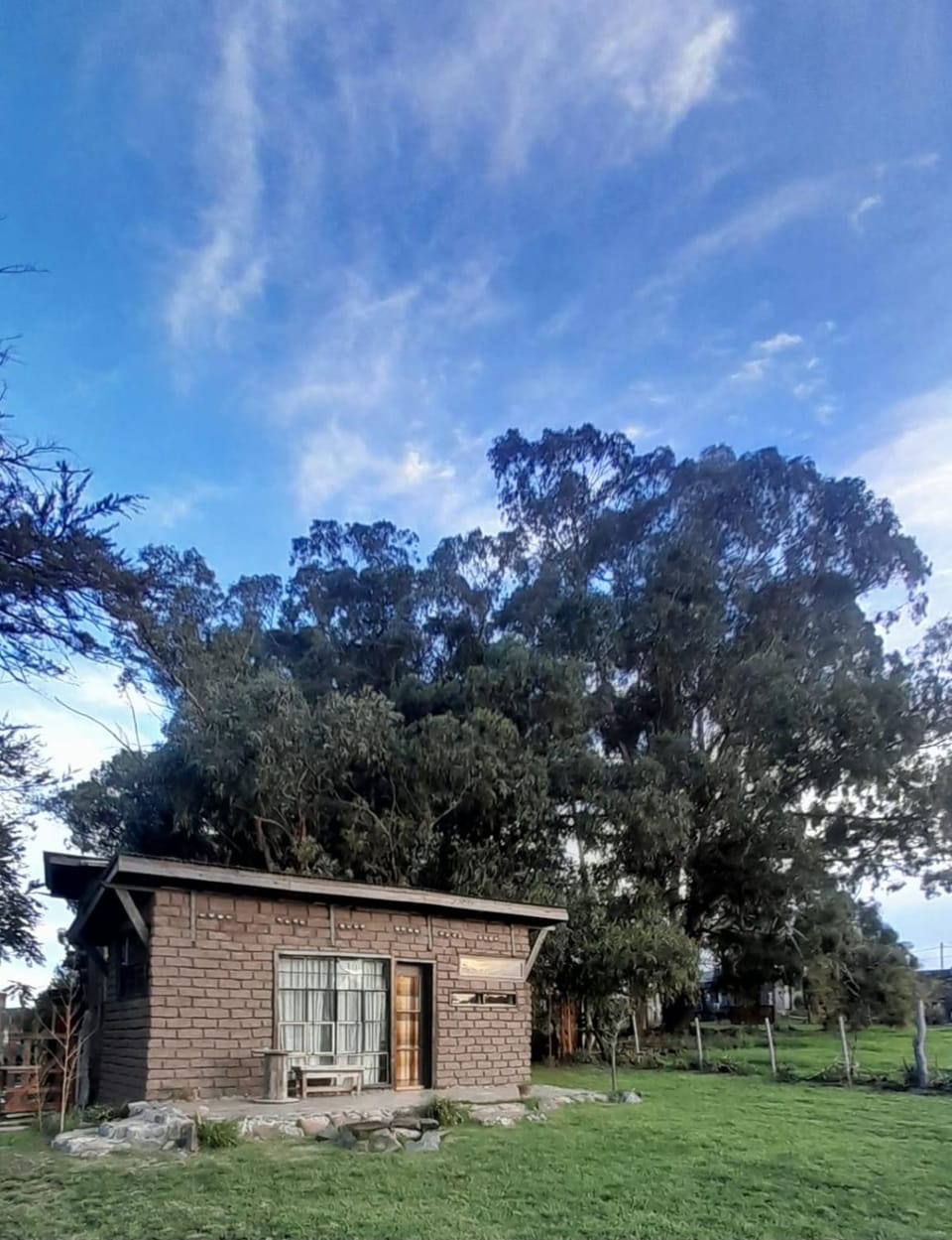 Natural landscape, Garden, Garden view