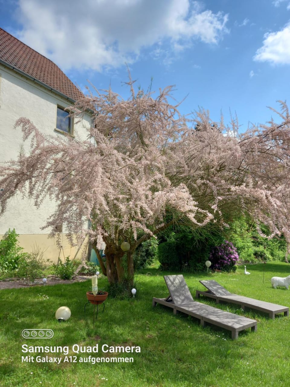 Garden, Garden view