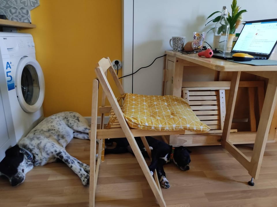 Lovely Studio with a Balcony Apartment in Burgas Province