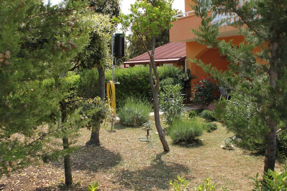 Location, children, Family
