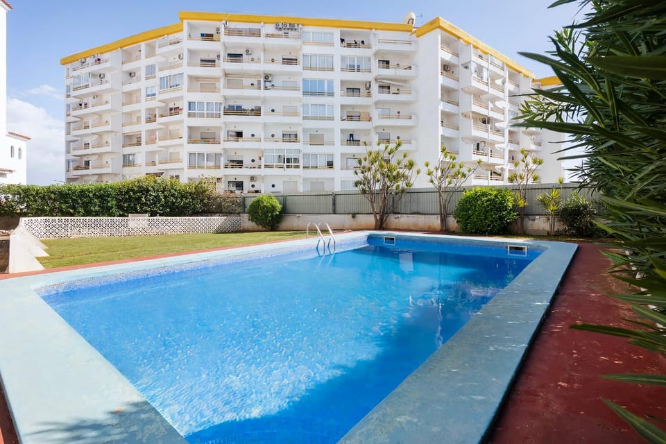 Day, Pool view, Swimming pool