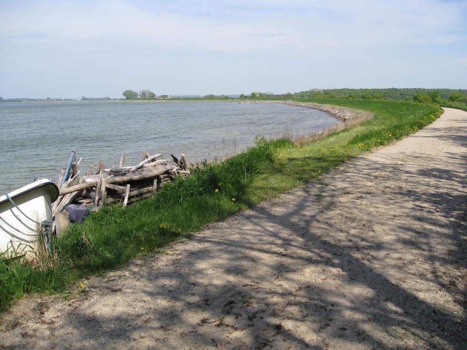 Lake view