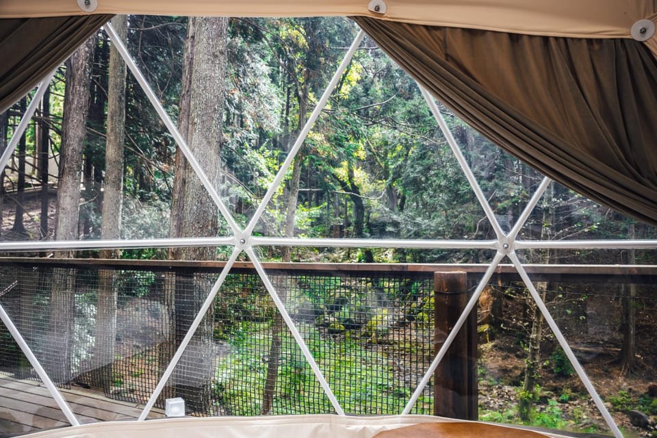 Natural landscape, View (from property/room)