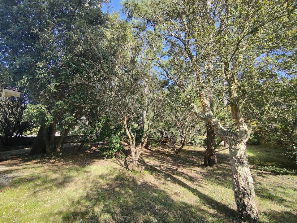 Villa avec jardin clos à Lège-Cap-Ferret, 3 chambres, proche plages Villa in La Teste-de-Buch