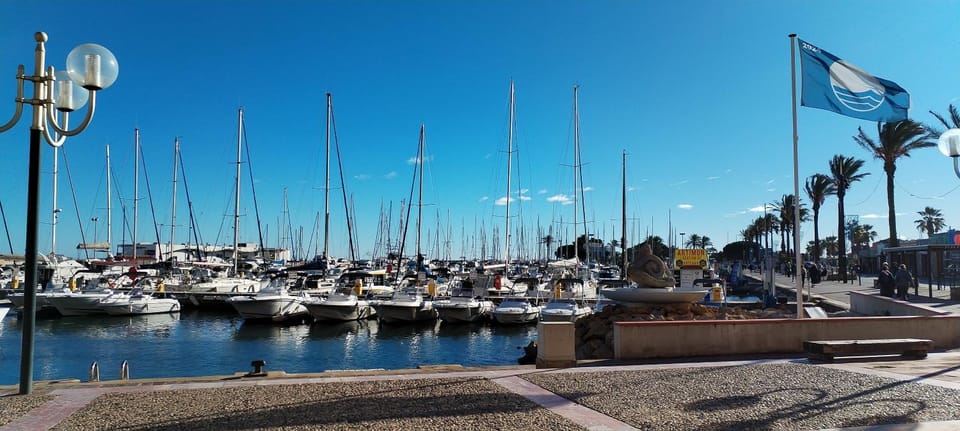 Appartement front de mer Apartment in Saint-Cyprien