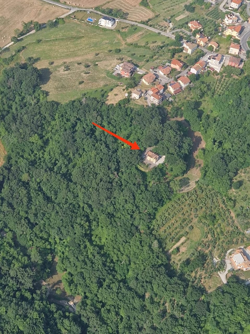 Bird's eye view