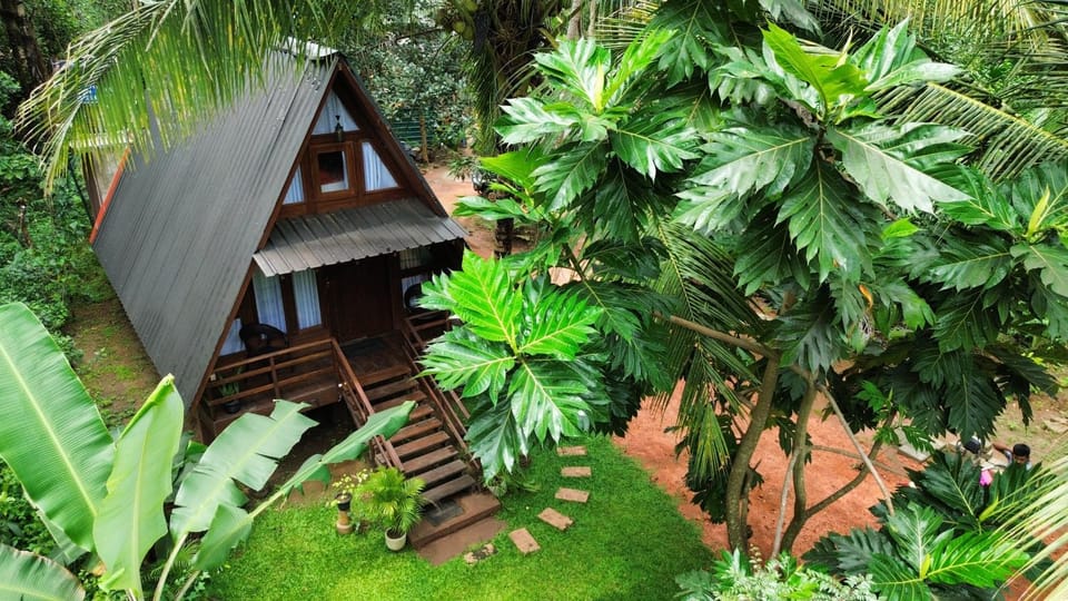 Natural landscape, Garden view