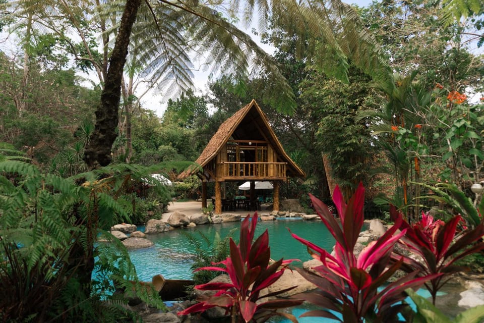 Spring, Natural landscape, Garden view, Pool view, Swimming pool