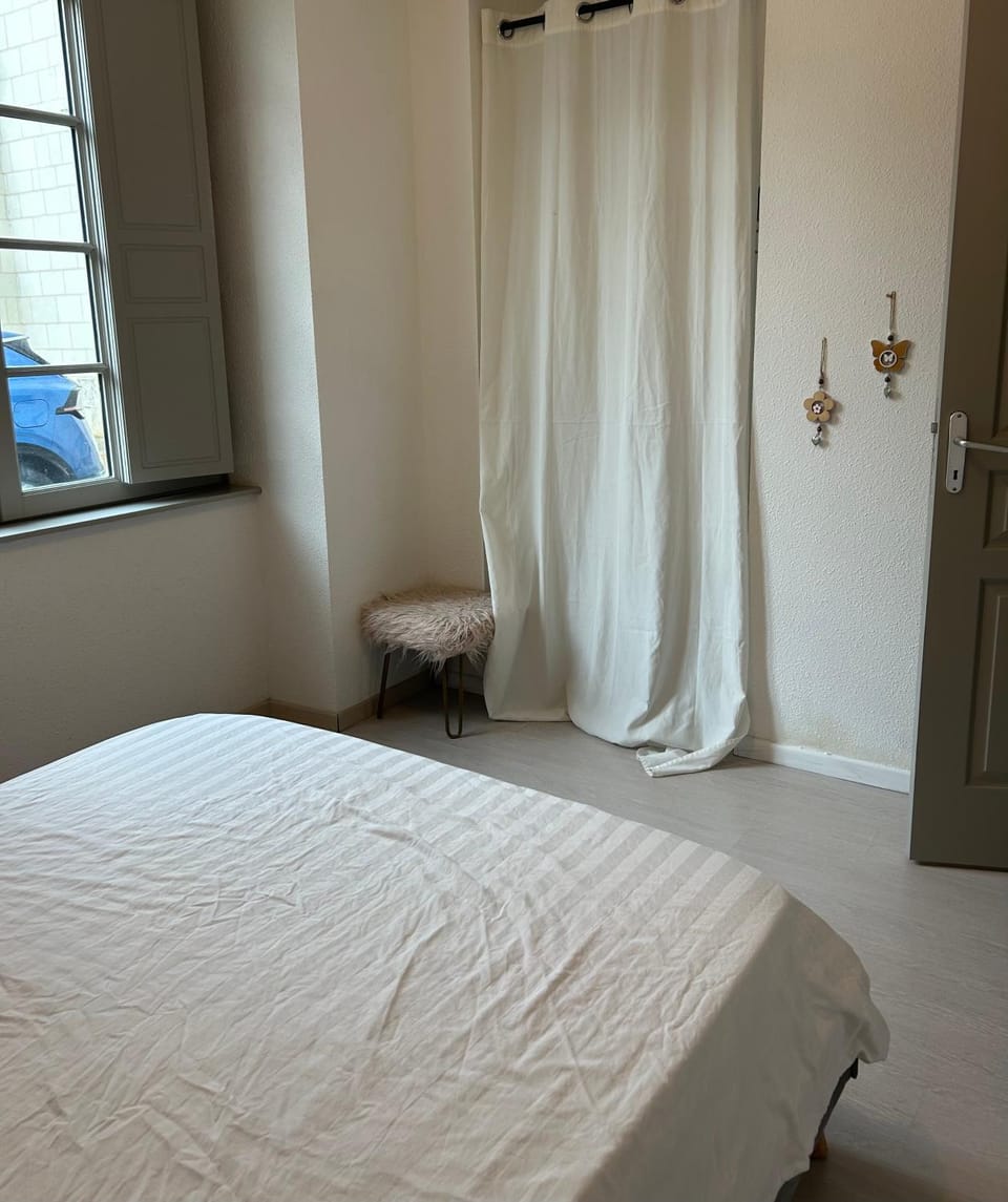 Centre ville T3 Apartment in Saumur