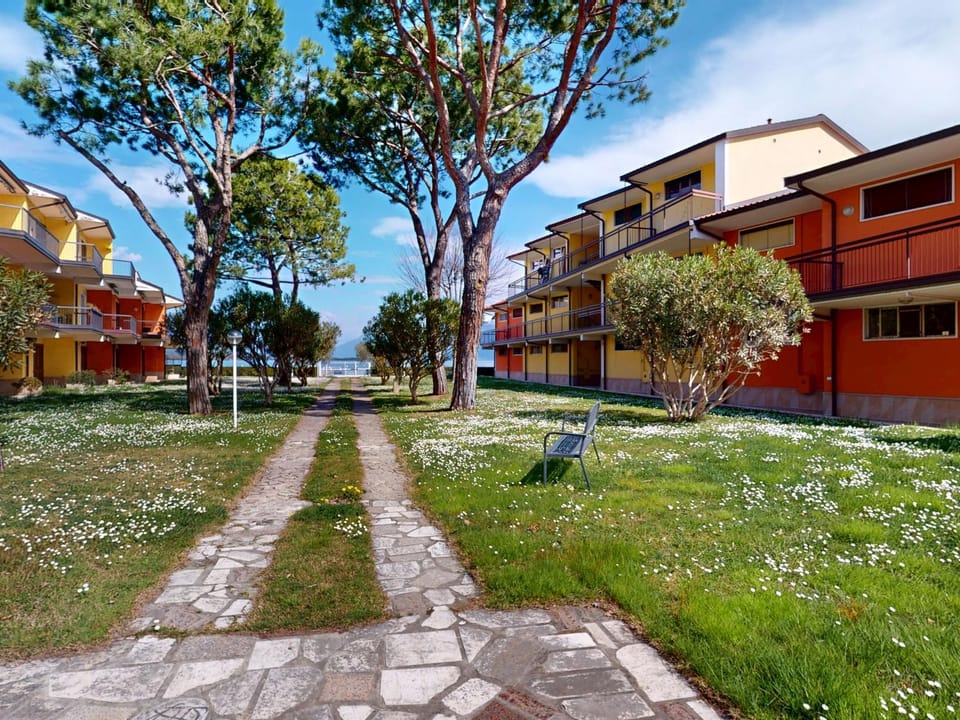 Patio, Garden, Garden view