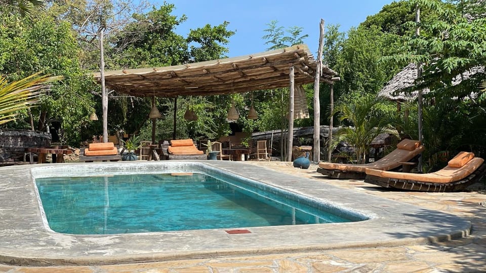 Garden, Pool view, Swimming pool, Swimming pool