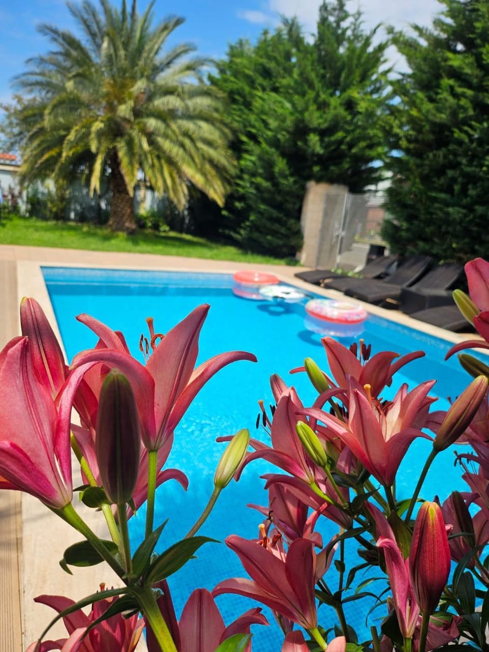 Dachis Villa Private Pool Retreat Villa in Batumi
