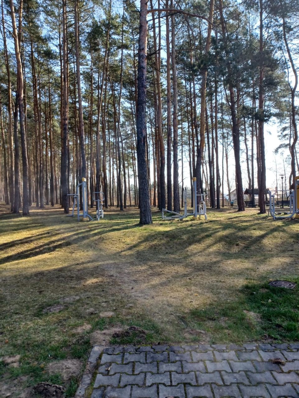 Natural landscape, View (from property/room)